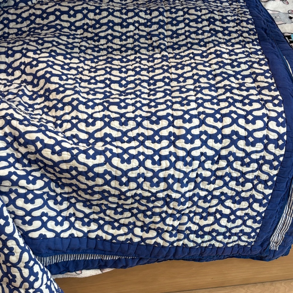 Roller Rabbit Navy and White Quilt